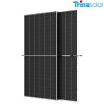 Trina 620